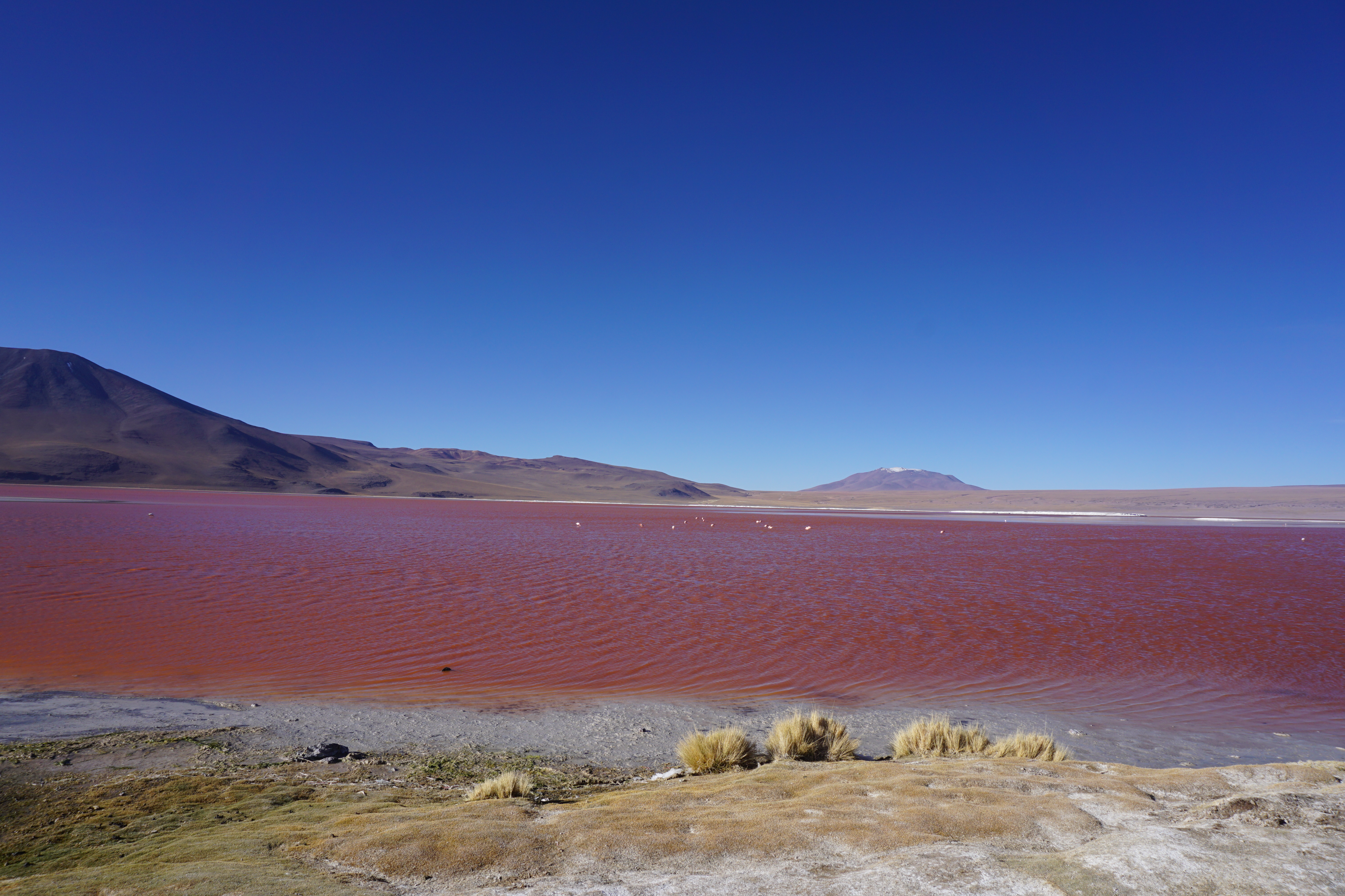 Bolivian Altiplano & Goodbye Bolivia – Lima to Mumbai6000 x 4000