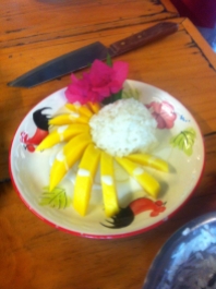 Karina's mango & sticky rice